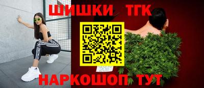 амф Камышлов