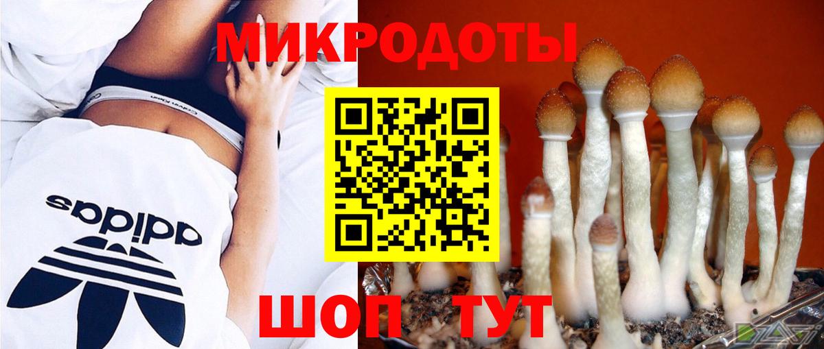 цена наркотик  Вход с VPN  Курчатов  Галлюциногенные грибы Psilocybe  Псилоцибиновые грибы Psilocybine cubensis 